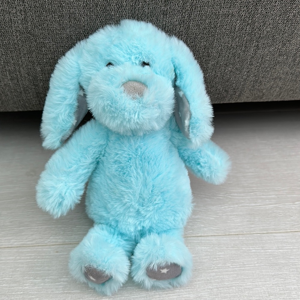 Baby blue bear plushie